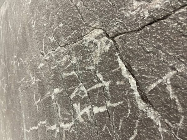 Enigma Ebony  3/4" - Image 3